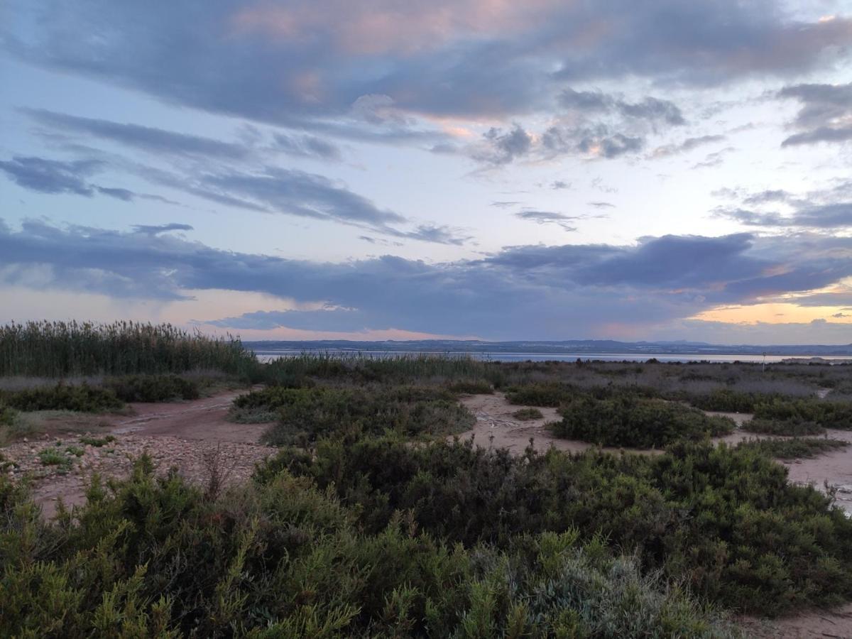 Apartamento Torre Zeus, La Mata, トレビエハ エクステリア 写真