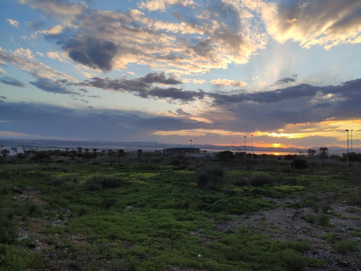Apartamento Torre Zeus, La Mata, トレビエハ エクステリア 写真